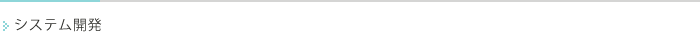 システム開発